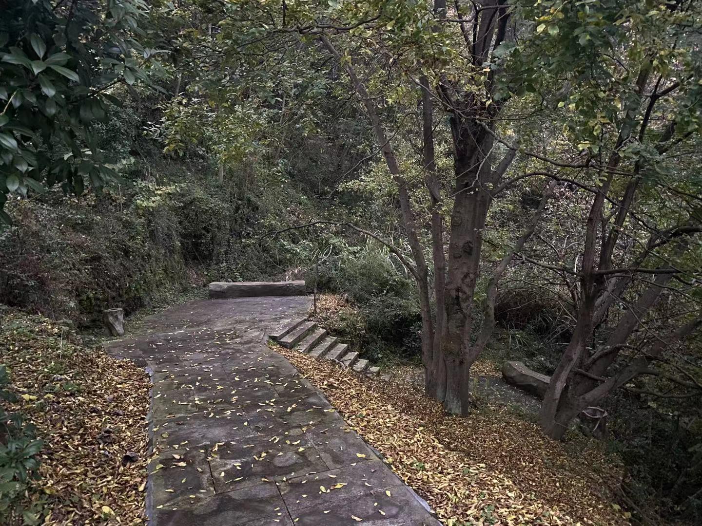 8岁男童山上失踪6天 已有部分线索