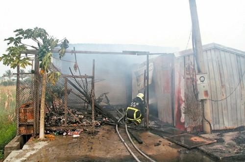男子强奸88岁妇女致其死亡 已被枪决
