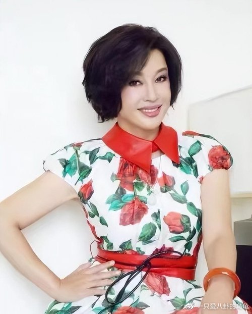 刘晓庆陷逃税漏税风波 新剧还能播吗