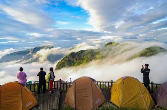 武功山景区回应山顶有大量臭屁虫