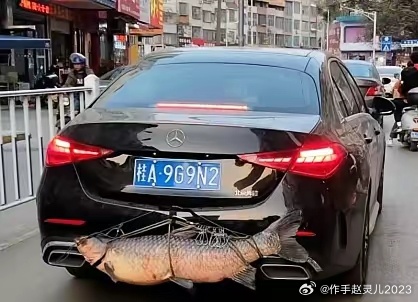 猫贪余温