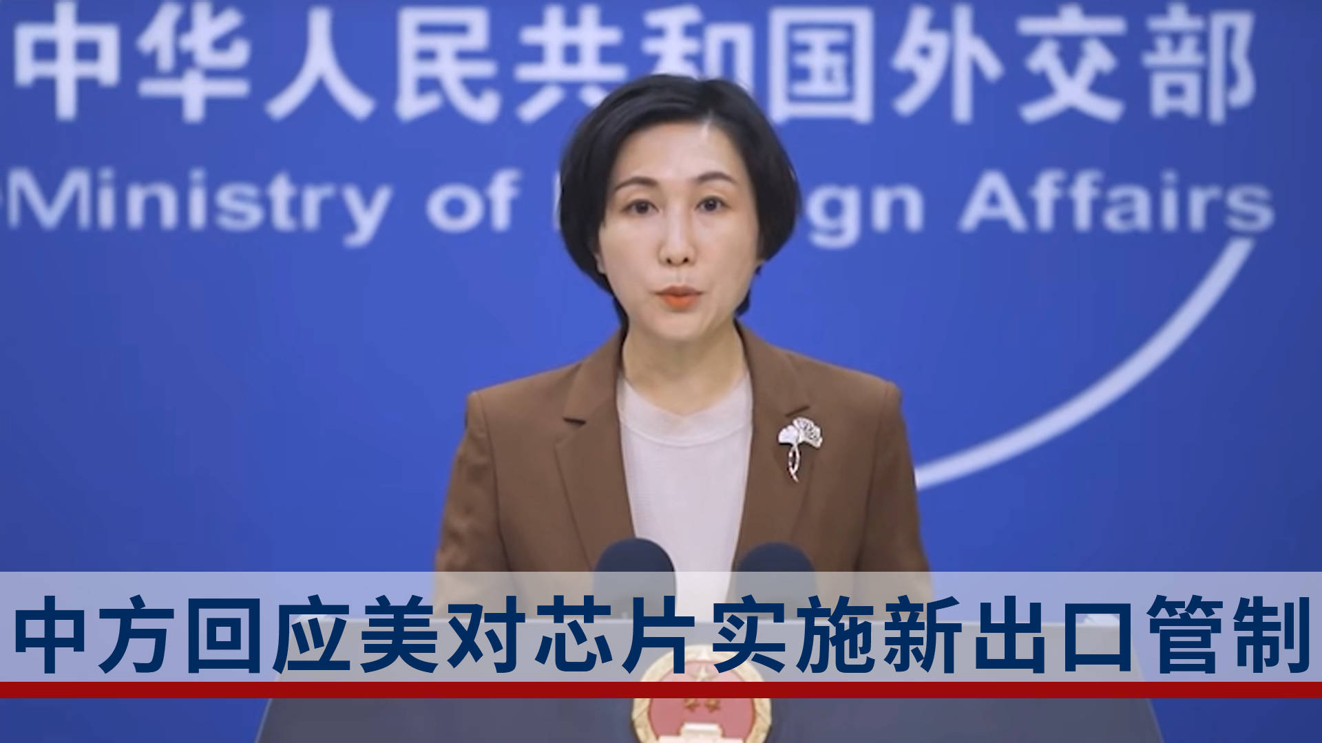 中方:坚决反对美恶意打压中国芯片