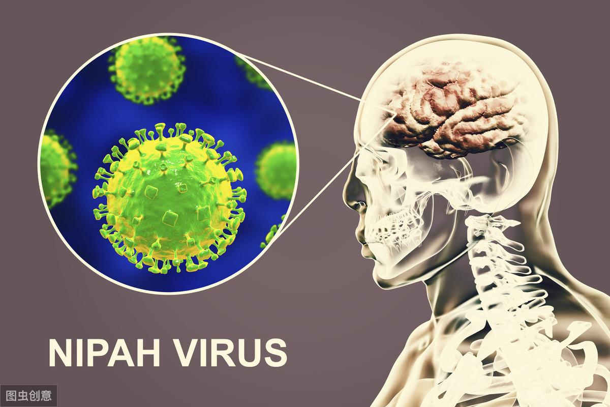发现微生物新物种
