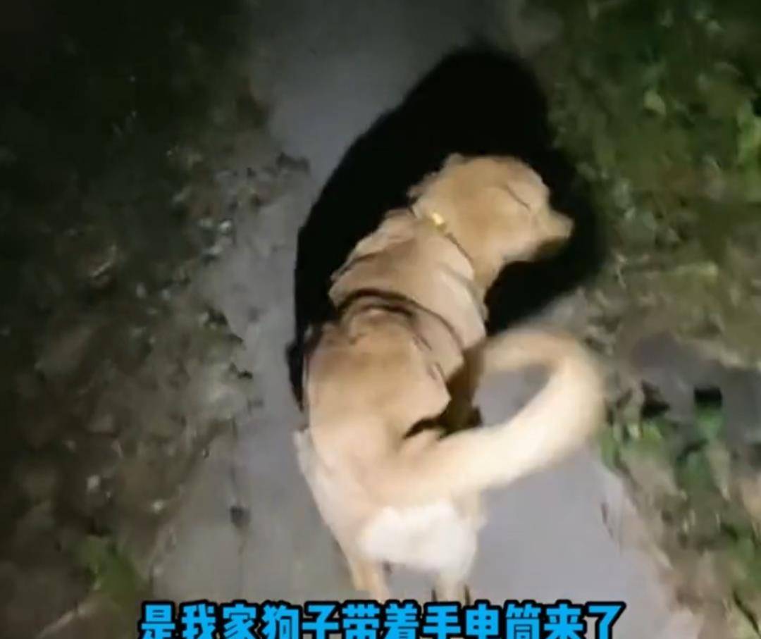 男子喂食人鱼被咬掉手指无奈接脚趾