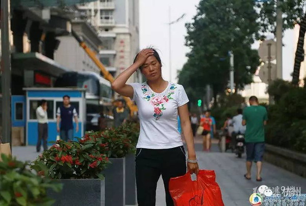 姚安娜戴工牌到车间工厂打工：揭秘她的真实生活与工作态度
