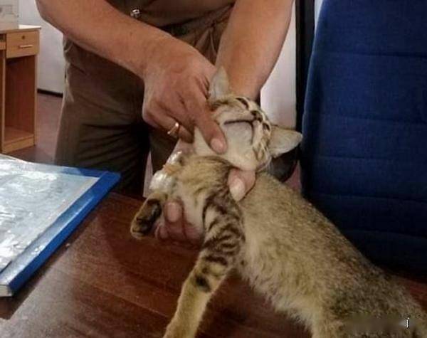 ￡胆义★锋寒彡