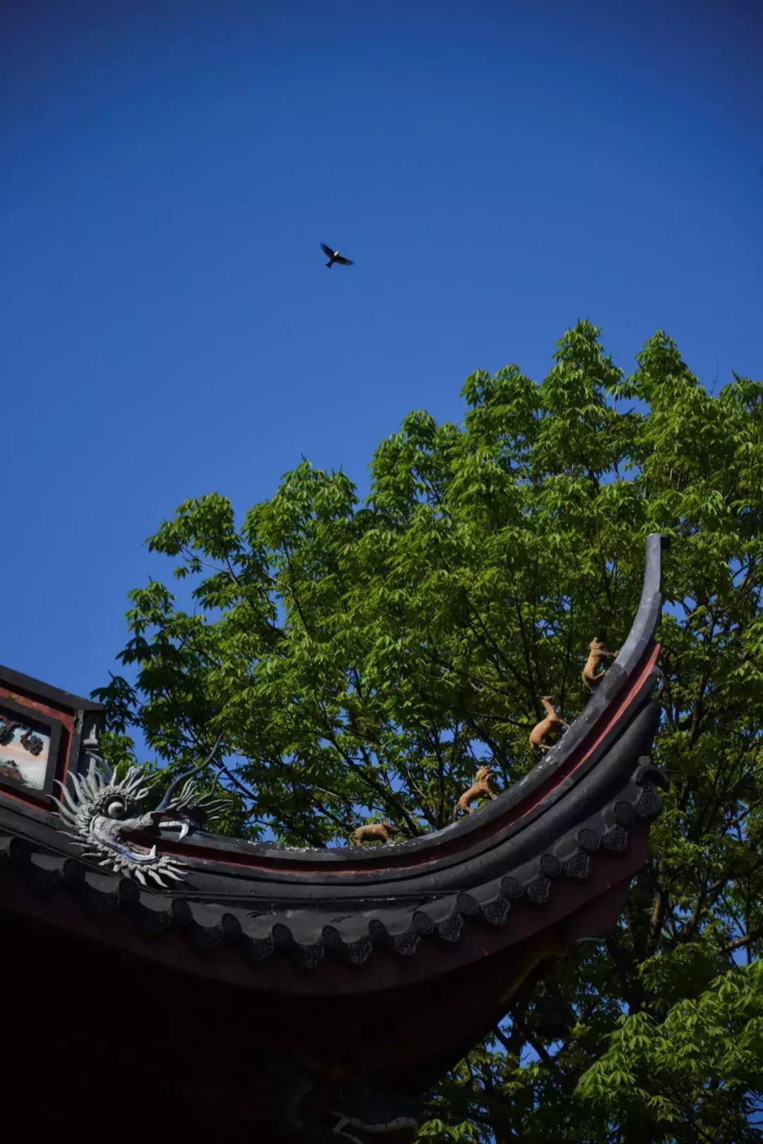 小满后面为什么没有“大满”