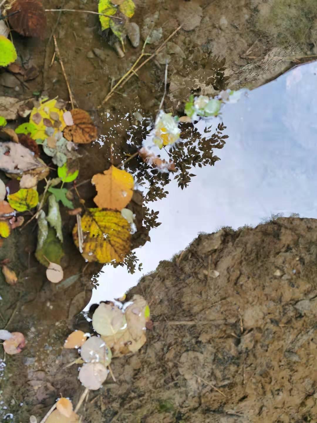北方多地地面温度已超70℃