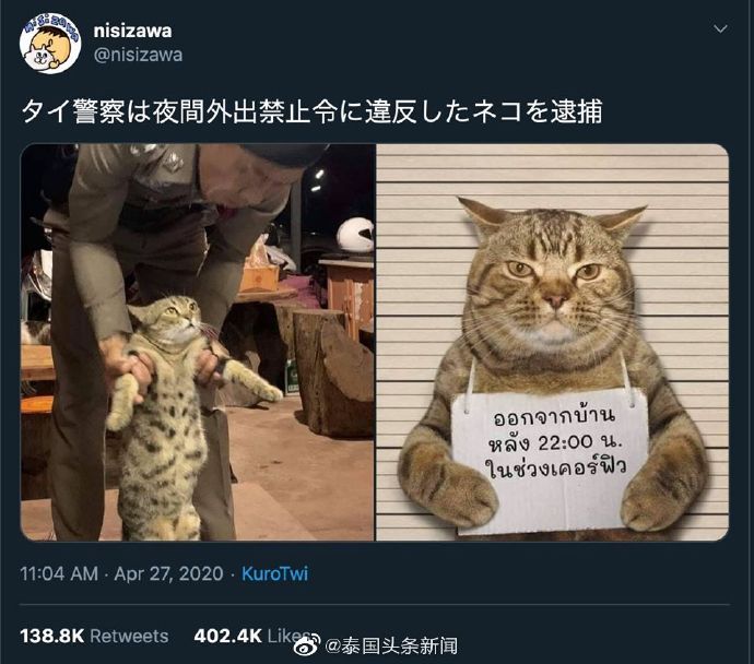 泰国猫咪袭警被捕超萌入狱照走红
