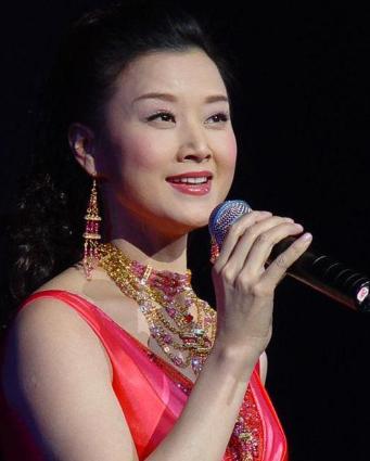 一级演员陈丽云被捕