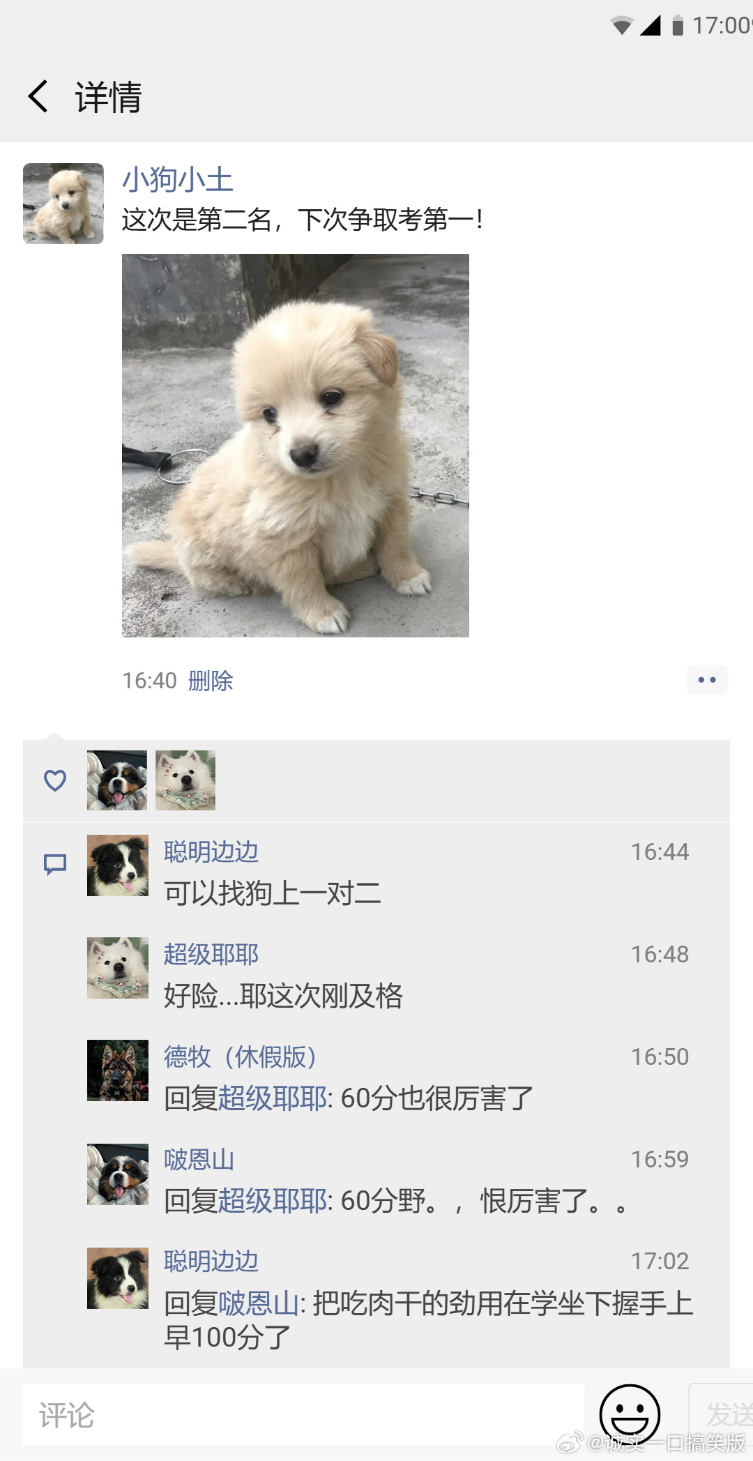 "起猛了看到小狗的朋友圈了"：揭秘宠物社交背后的惊人真相！