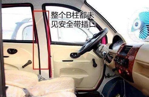 震惊！多地出现狗拉车带人上路急驶，安全隐患引热议