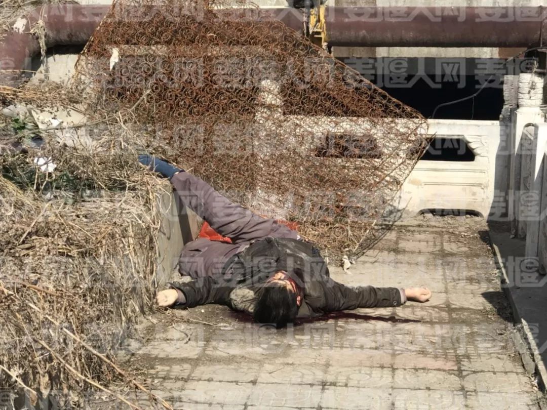 震惊！火车顶惊现流血男尸，背后真相令人毛骨悚然！