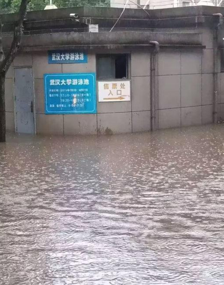 震惊！武汉大学校门被淹，校园变“水城”背后的真相