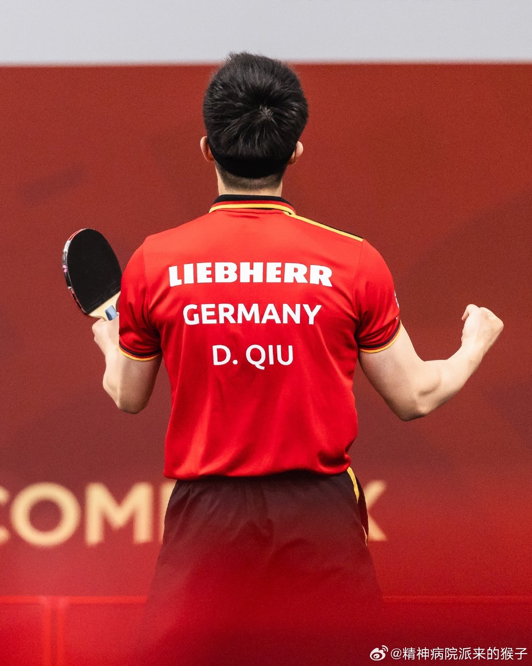 🏓惊心动魄！多哈世乒赛男单4强出炉，谁能问鼎冠军宝座？