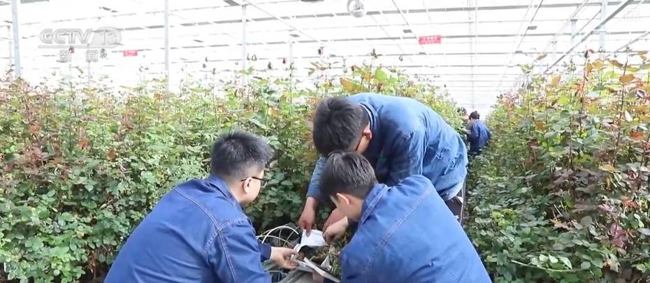 震惊！特色产业创新发展蝶变成“金招牌”背后的秘密大公开！
