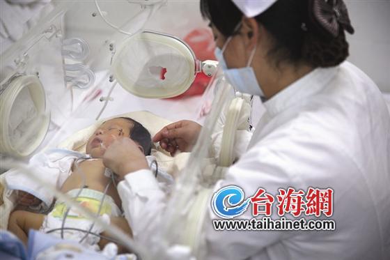 厦门车祸奇迹宝宝亲属因赔偿款反目：亲情与金钱的残酷抉择