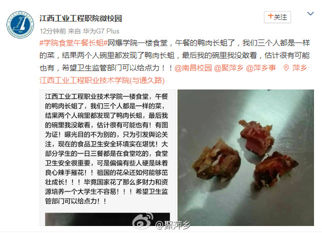 震惊！学校食堂绞肉机现活蛆 校长被停职！食品安全再引热议