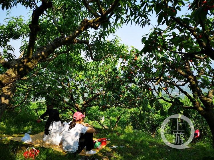 震惊！景区月薪3万招NPC，高薪背后藏着什么秘密？