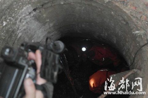 惊心！女子观赏“蓝眼泪”失踪多方搜救，生死未卜引全网关注