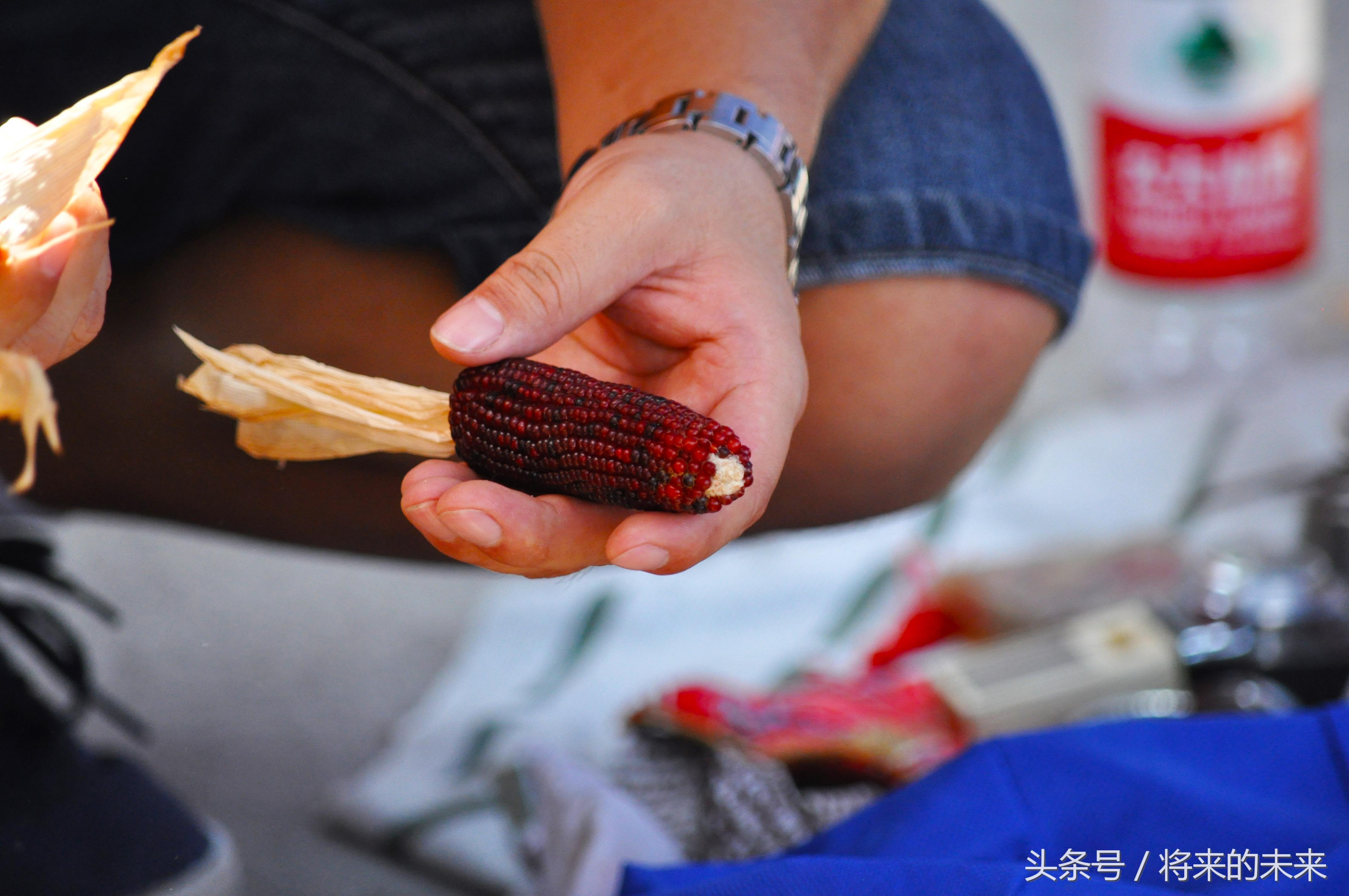 震惊！一根开价10万 年轻人迷上文玩玉米，背后藏着什么秘密？